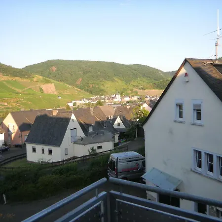 Ferienwohnung Bernkastel-Kues - Alte Rebschule Exterior foto